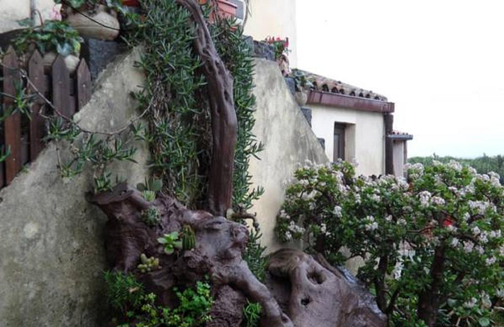 Agriturismo Ruvitello Misterbianco Zimmer foto